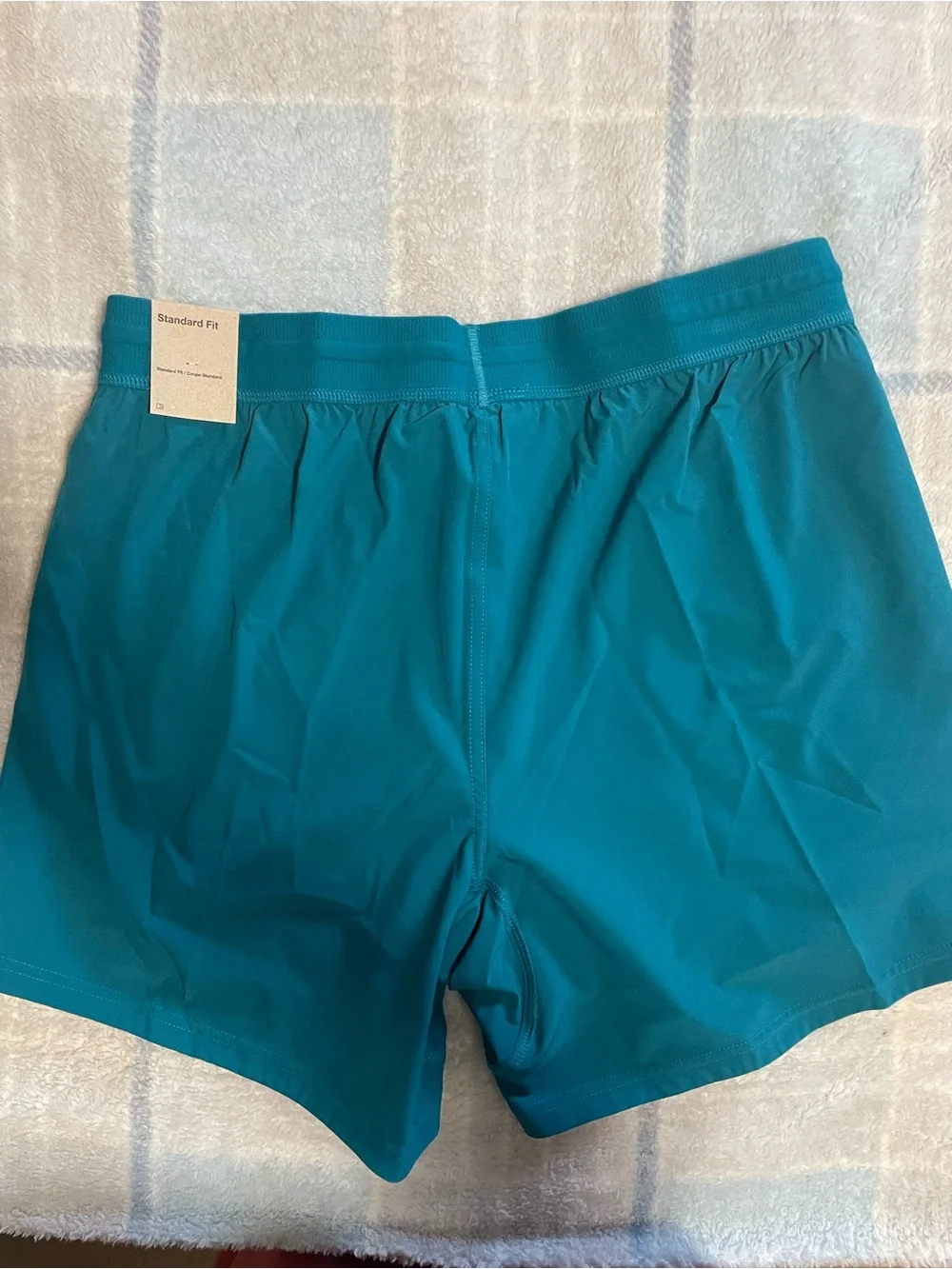 Nike Teal Athletic Shorts with Black Swoosh